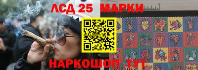 гидра Балашиха