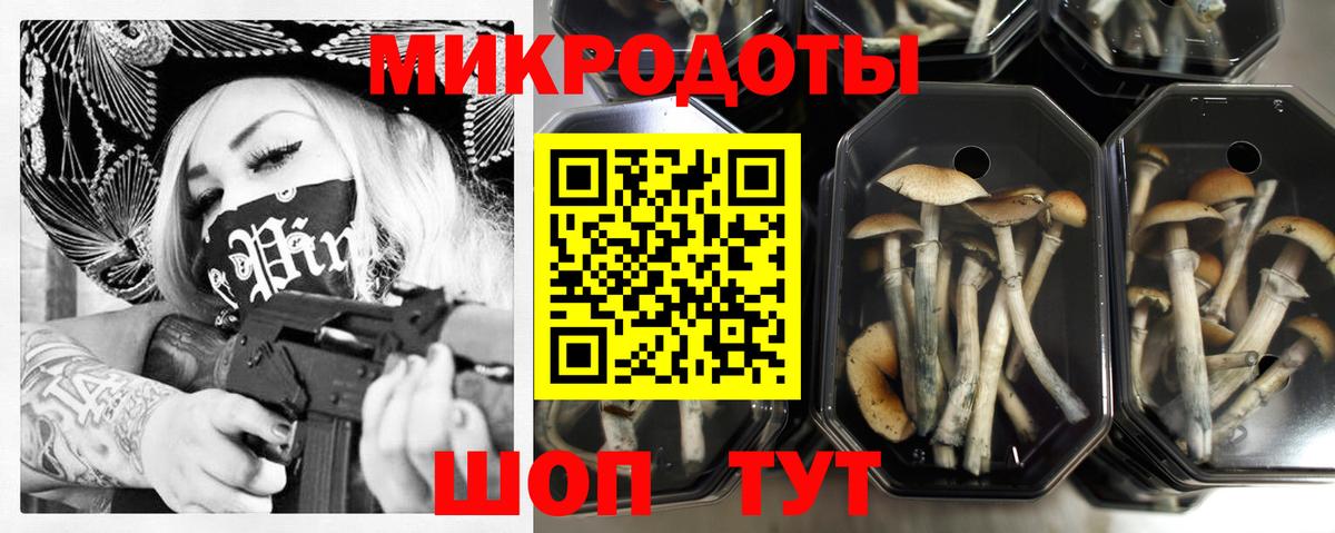 Ейск  Галлюциногенные грибы MAGIC MUSHROOMS  Вход с VPN 