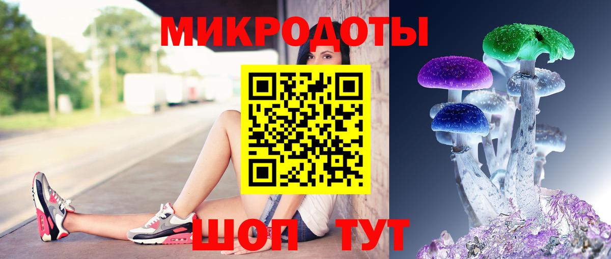 Галлюциногенные грибы Psilocybine cubensis Ейск